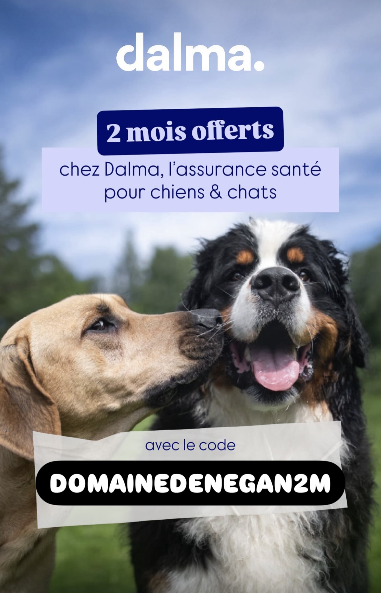 Dalma — Assurance santé animale