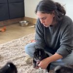 L'importance de l'ostéopathie canine chez le chiot en croissance