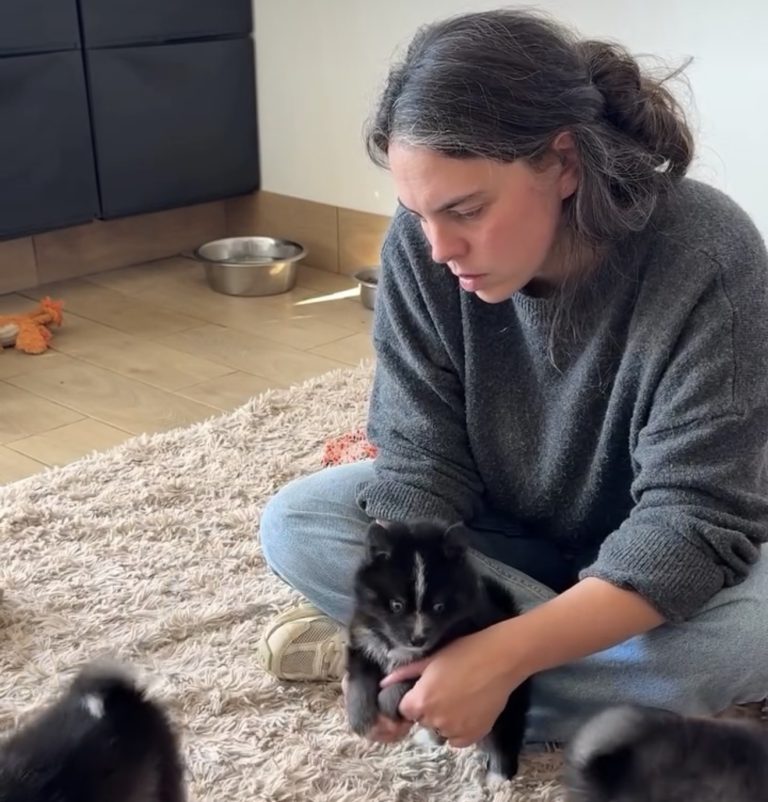 L’importance de l’ostéopathie canine chez le chiot en croissance