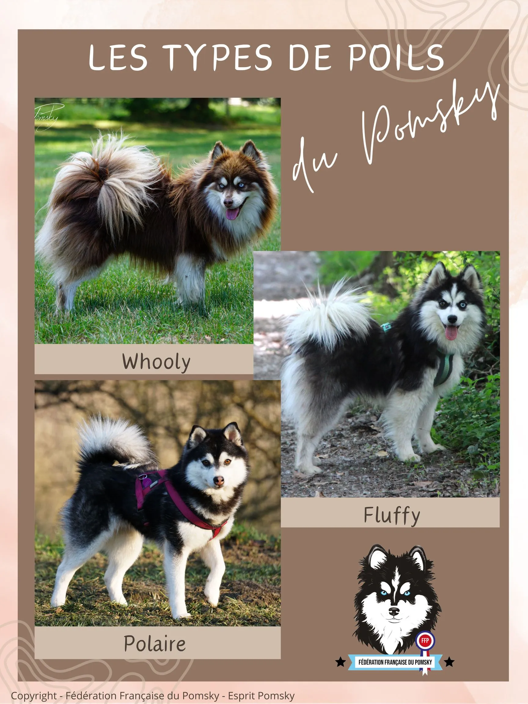 Pomsky